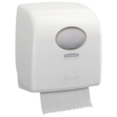 Paper Products and Dispensers