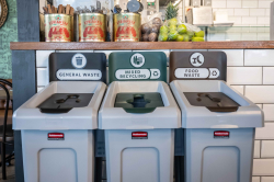 Recycling Bins